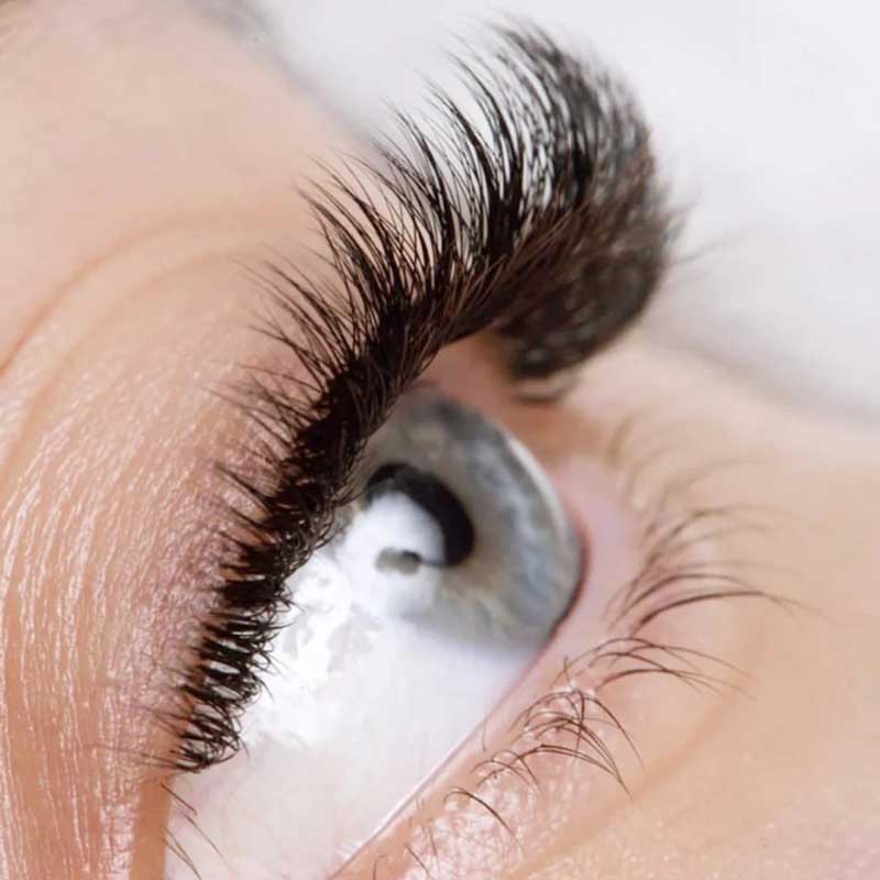 Classic & Volume Lashes - Image 4