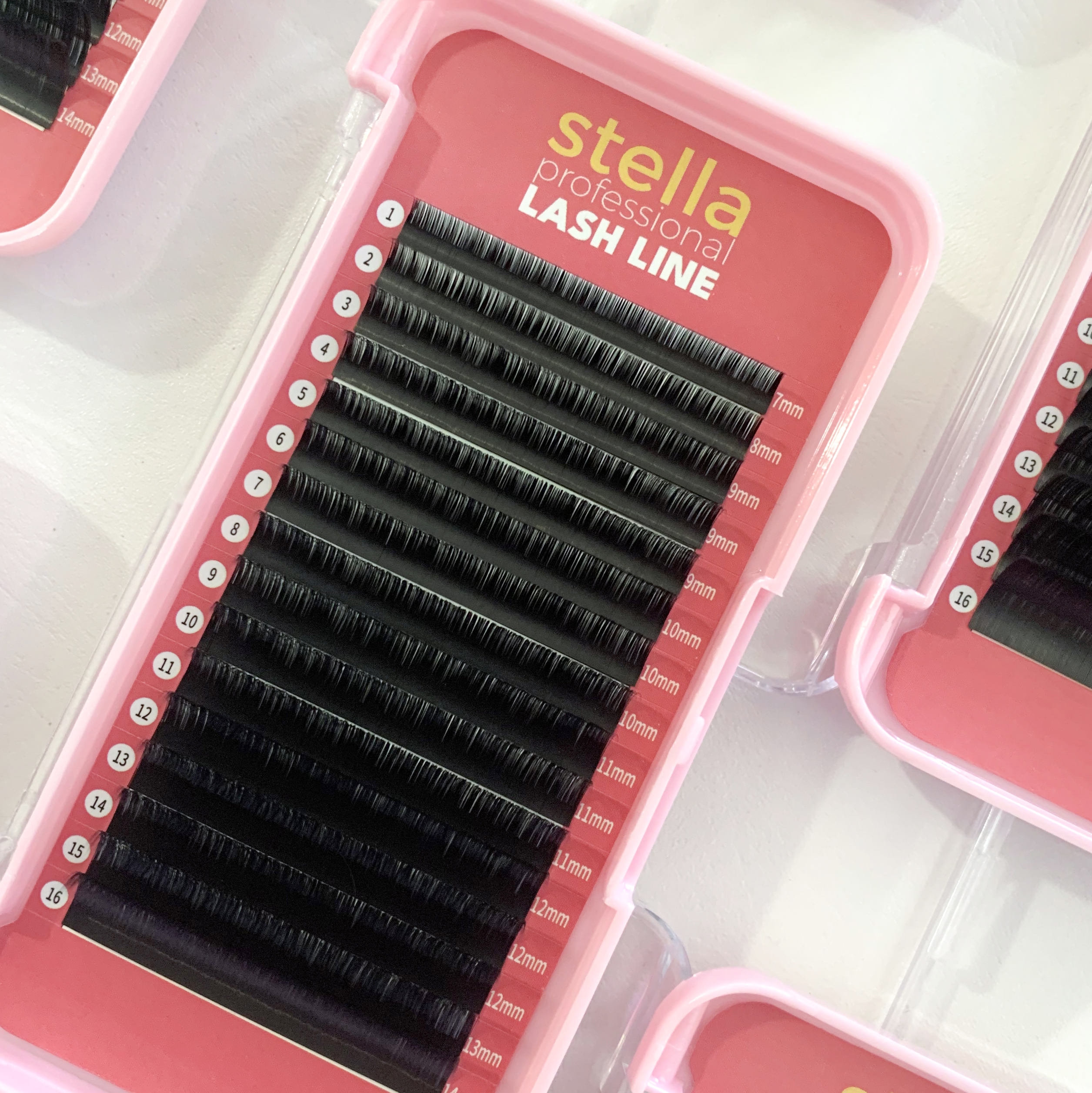 0.05 | Mixed Length Lash Tray